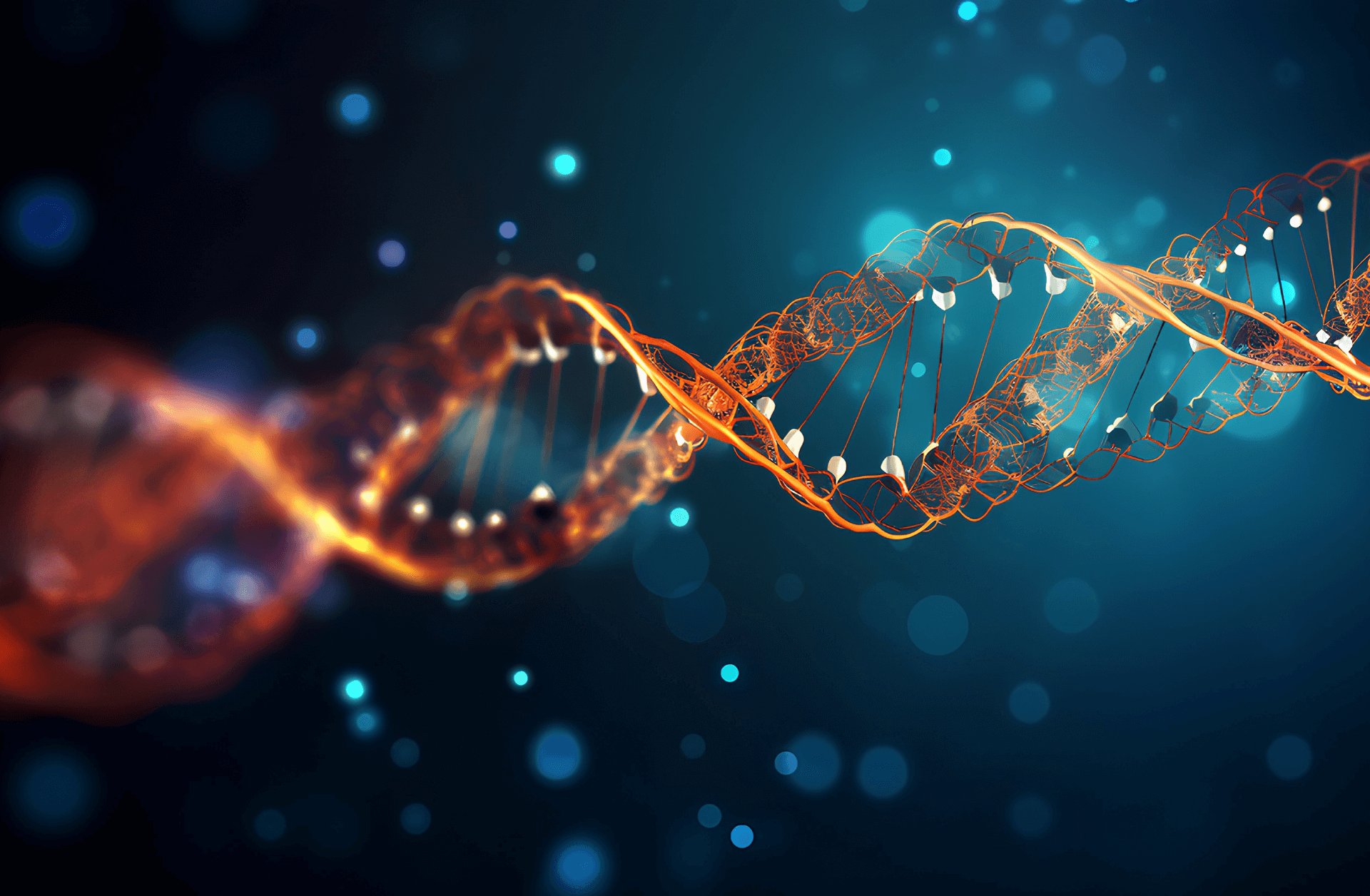 Service 3 — Picklings Medical Group